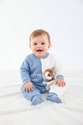 962f825de8e21e1bcb161de6574a2bd7